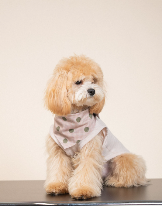 SoftPaw Comfort Bib Bandana