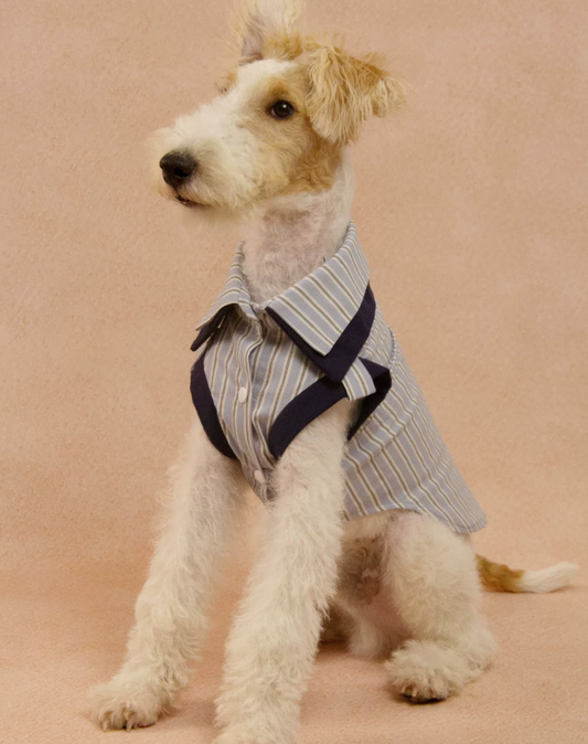 PatchPaw Check Mix Layer Shirt